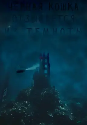 Чёрная кошка отзывается из темноты