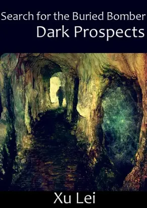 Search for the Buried Bomber