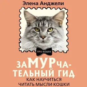 ЗаМУРчательный гид. Как научиться читать мысли кошки