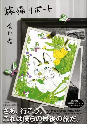 The Travelling Cat Chronicles