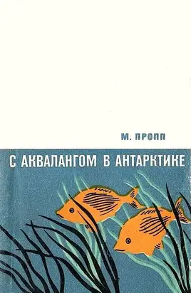 С аквалангом в Антарктике