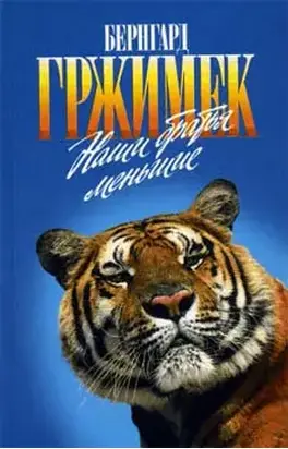 Наши братья меньшие