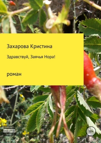 Здравствуй, Заячья Нора!