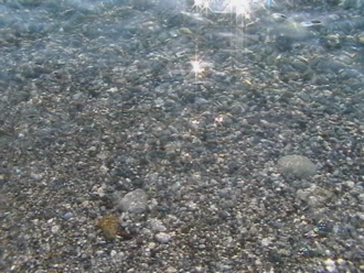 Полметра под уровнем моря