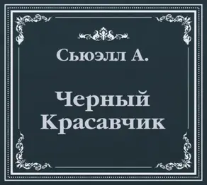 Черный Красавчик (сокращенный пересказ)