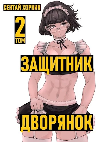 Защитник дворянок том II [СИ]
