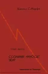 Сознание наносит удар. Евангелие от Рамеша