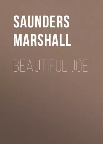 Beautiful Joe