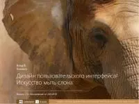 Дизайн пользовательского интерфейса. Искусство мыть слона