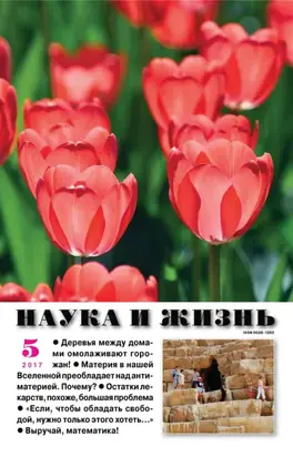 Наука и жизнь №05/2017