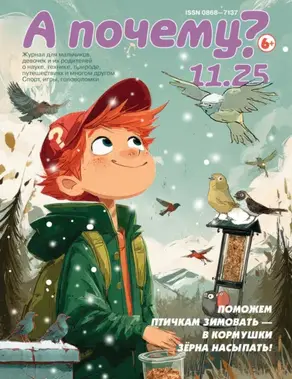 А почему? №11/2025