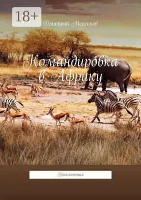 Командировка в Африку. Приключения