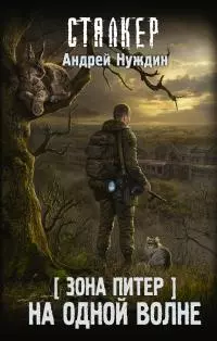 Зона Питер. На одной волне [litres]