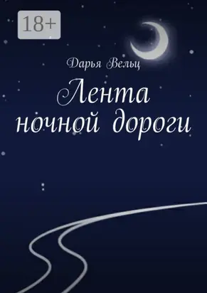 Лента ночной дороги